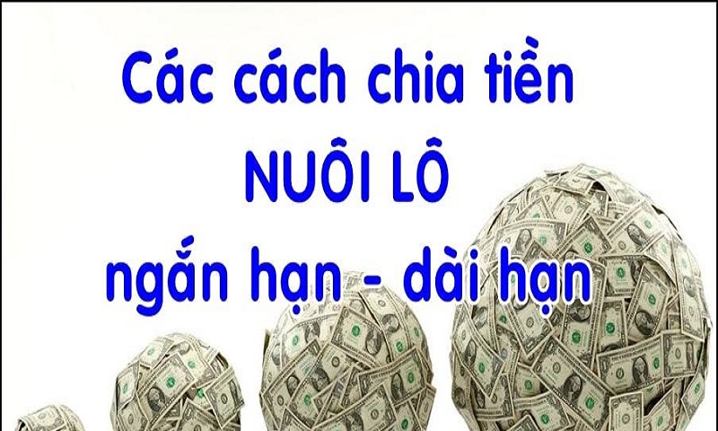 Bạn nên cân nhắc đến việc phân chia tiền khi chơi lô đề