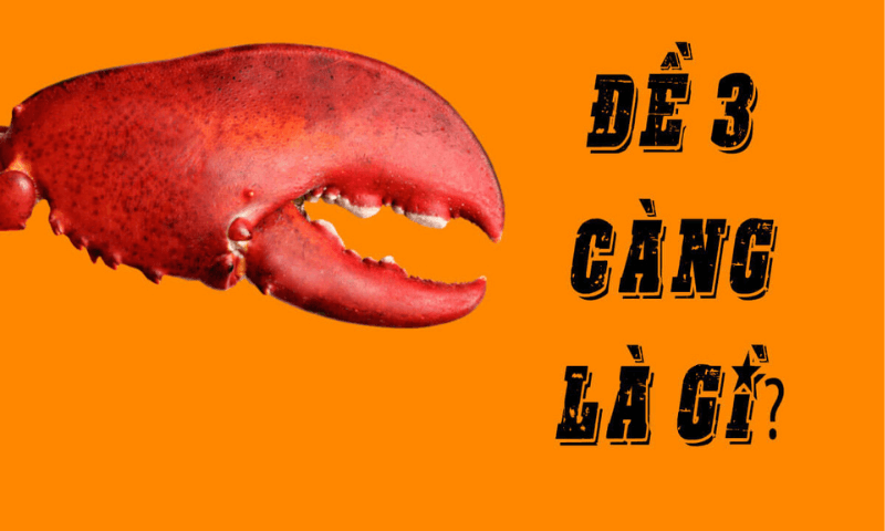 Đề 3 càng là gì?