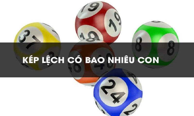 Bạn có thể tìm hiểu kép lệch bao nhiêu con