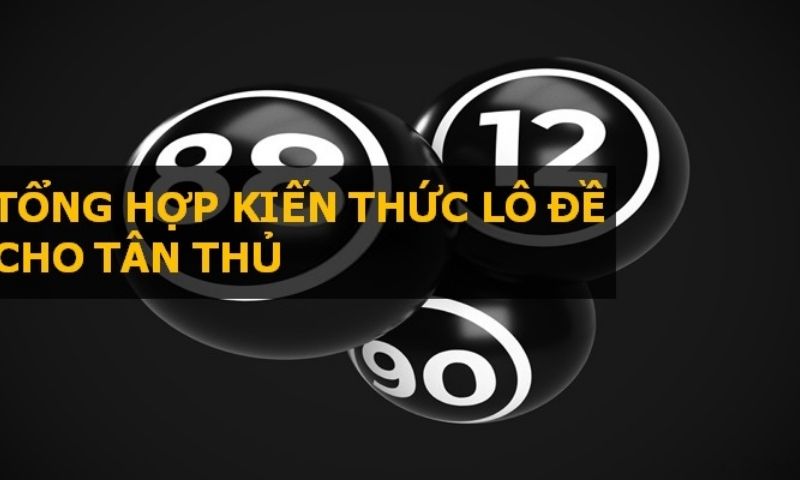 Hướng dẫn nuôi lô khung vào bờ an toàn, hiệu quả nhất